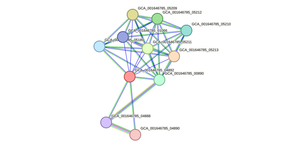 STRING protein interaction network