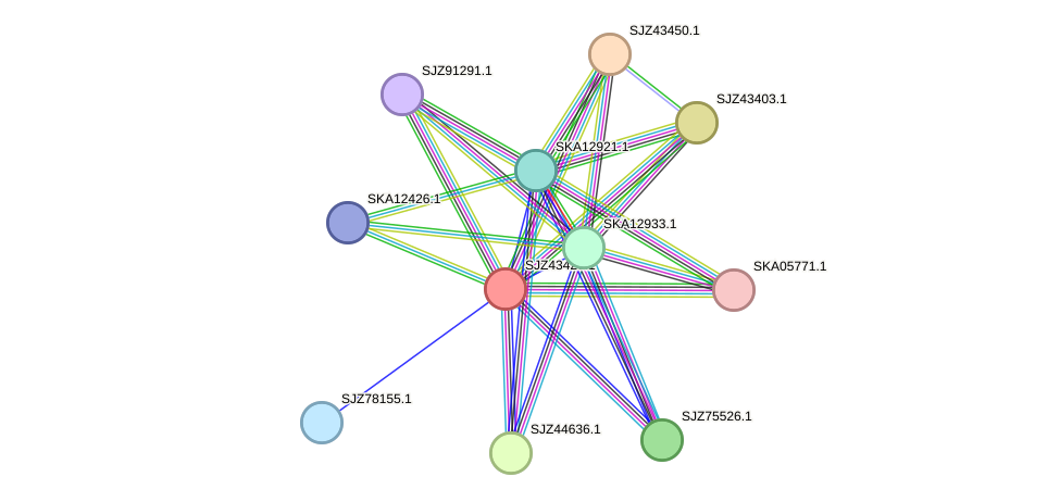 STRING protein interaction network