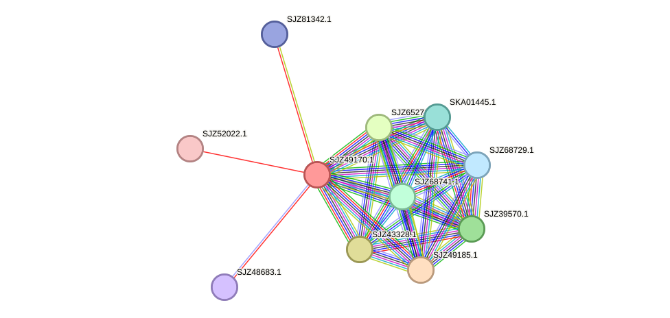 STRING protein interaction network