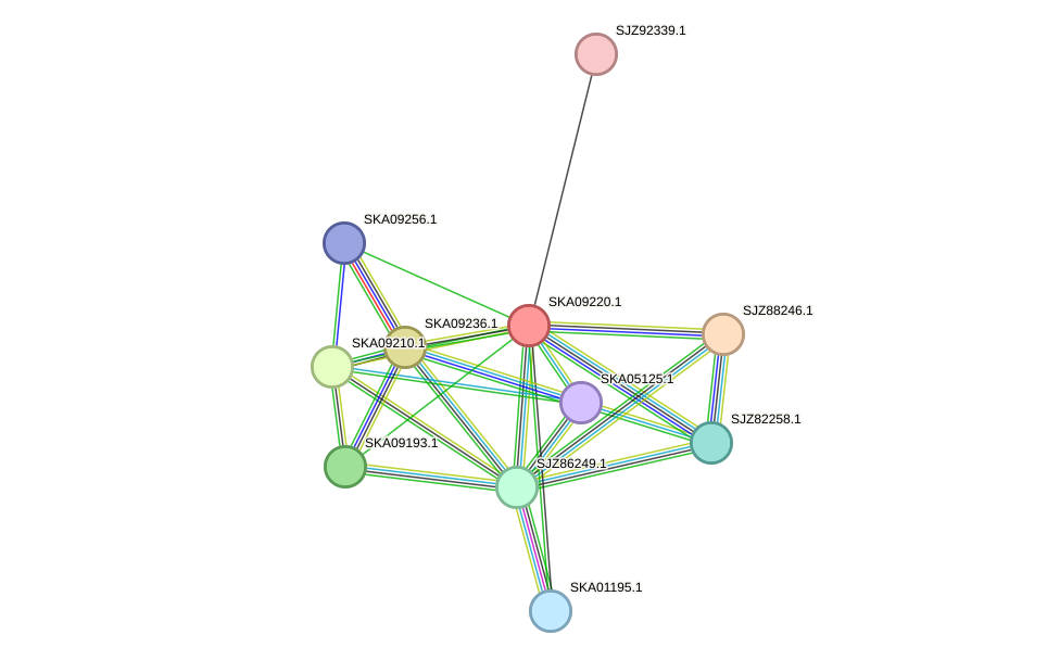 STRING protein interaction network