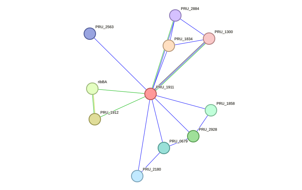 STRING protein interaction network