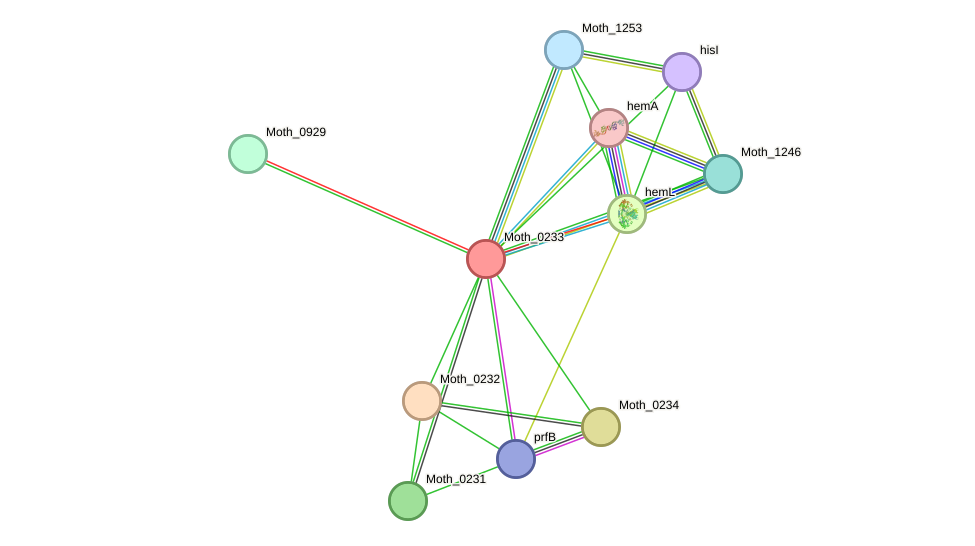 STRING protein interaction network