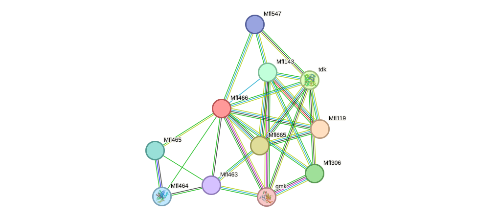 STRING protein interaction network