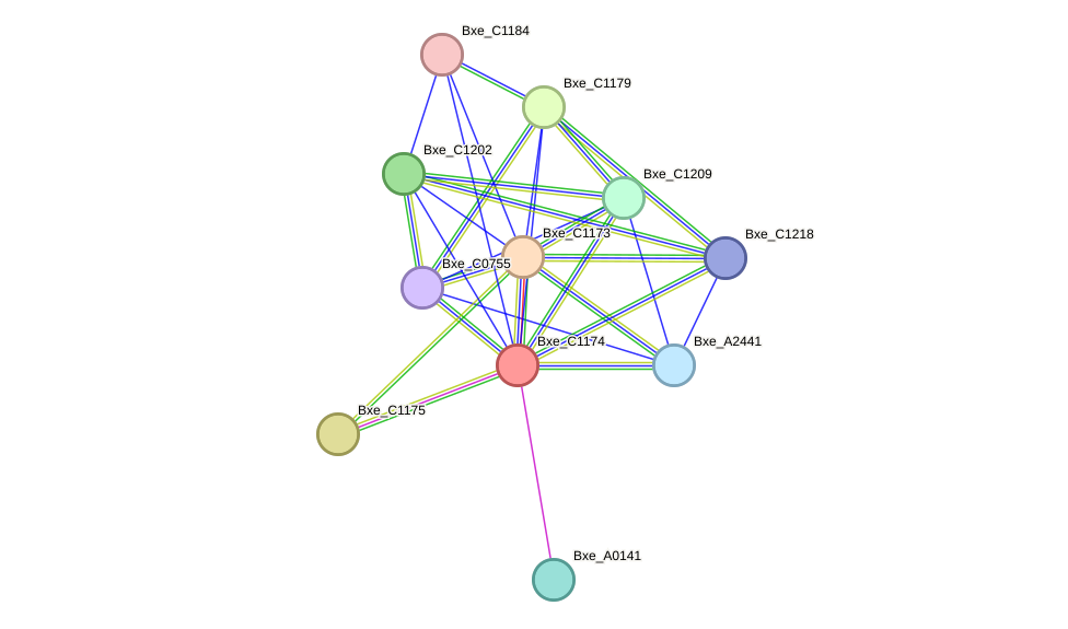 STRING protein interaction network