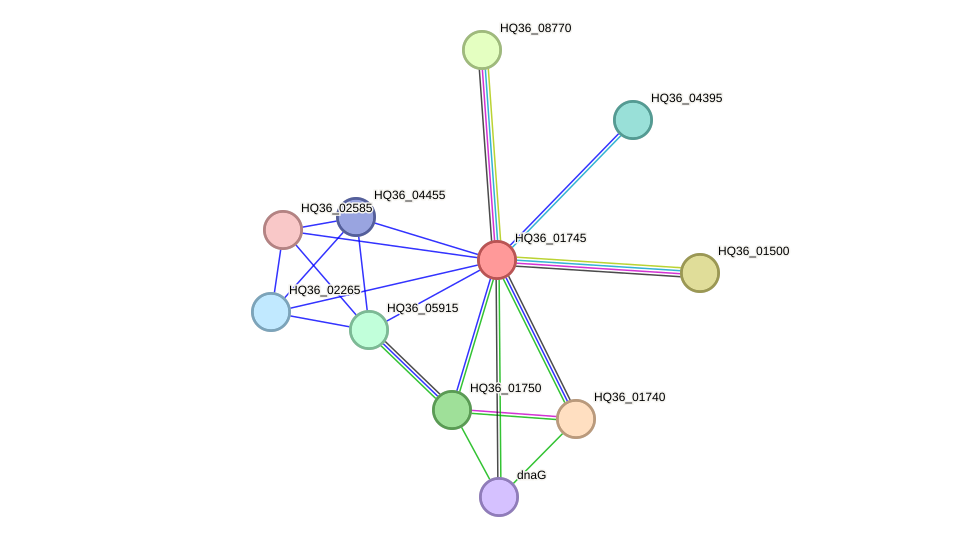 STRING protein interaction network