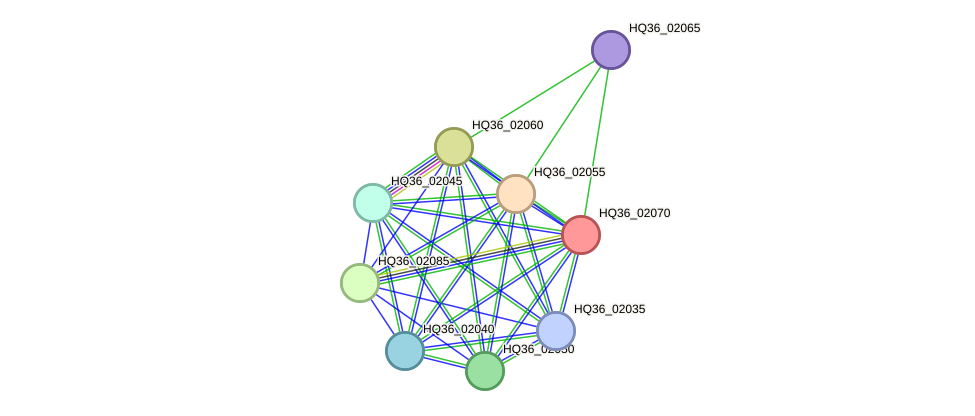 STRING protein interaction network