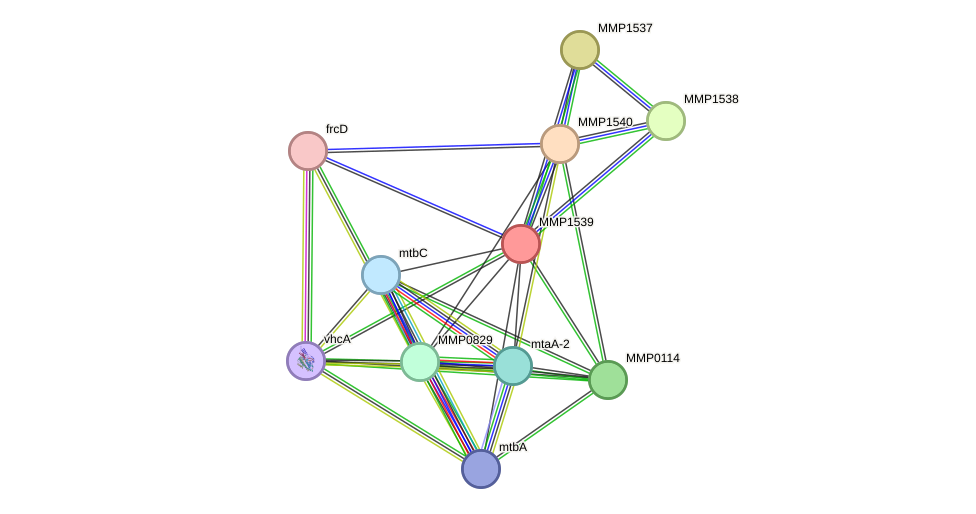 STRING protein interaction network