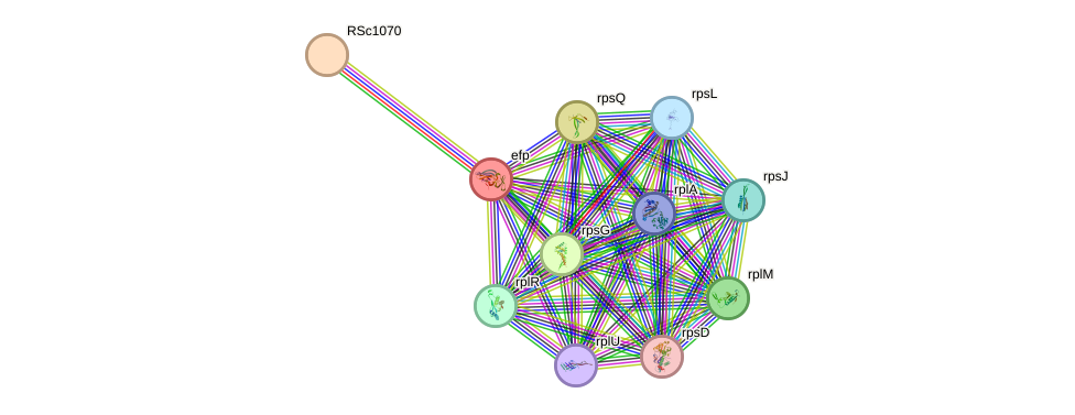 STRING protein interaction network