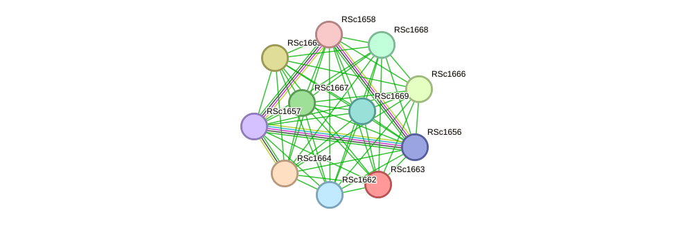 STRING protein interaction network