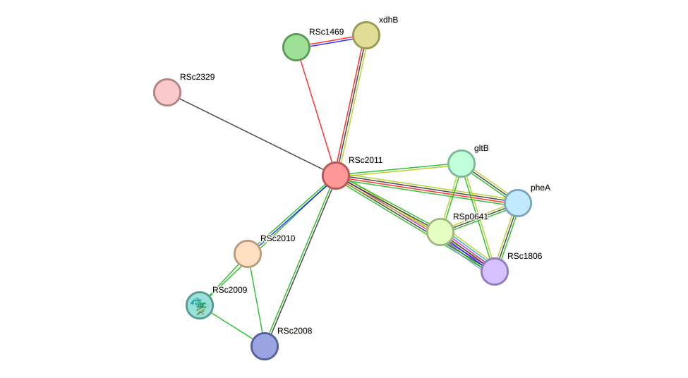 STRING protein interaction network