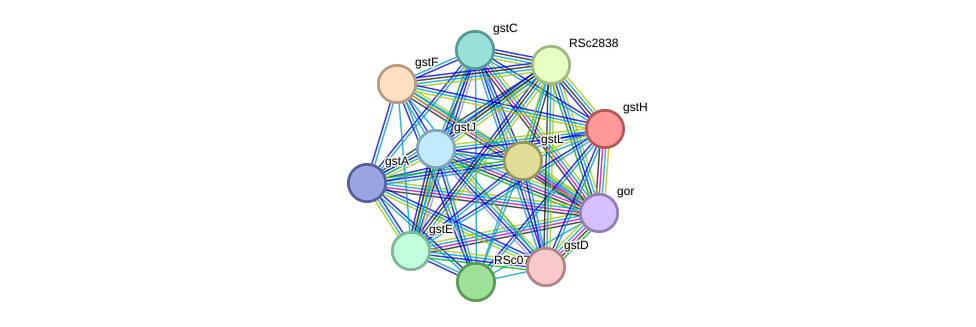 STRING protein interaction network