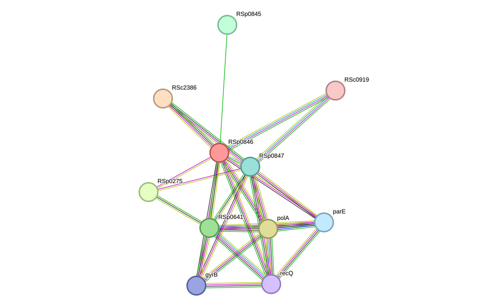 STRING protein interaction network