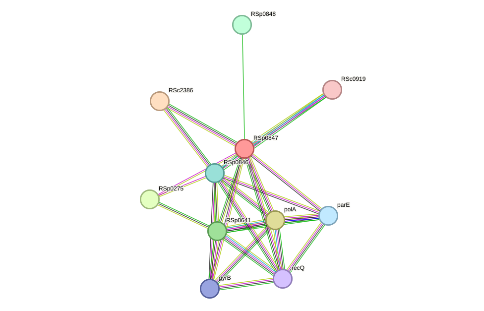 STRING protein interaction network