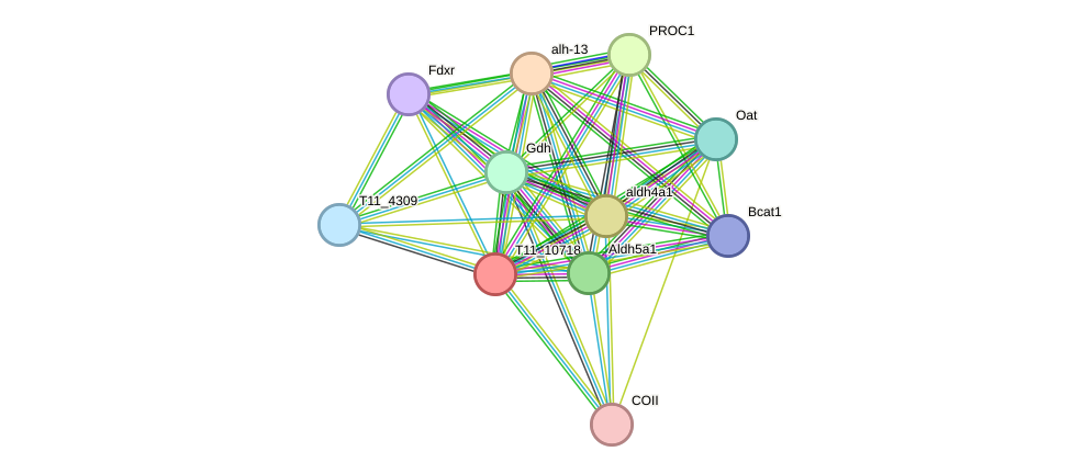 STRING protein interaction network