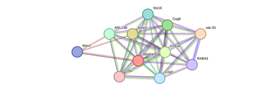 STRING protein interaction network