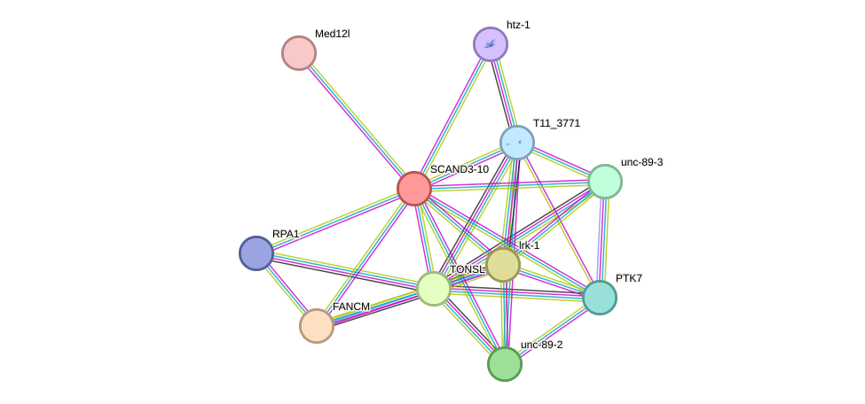 STRING protein interaction network