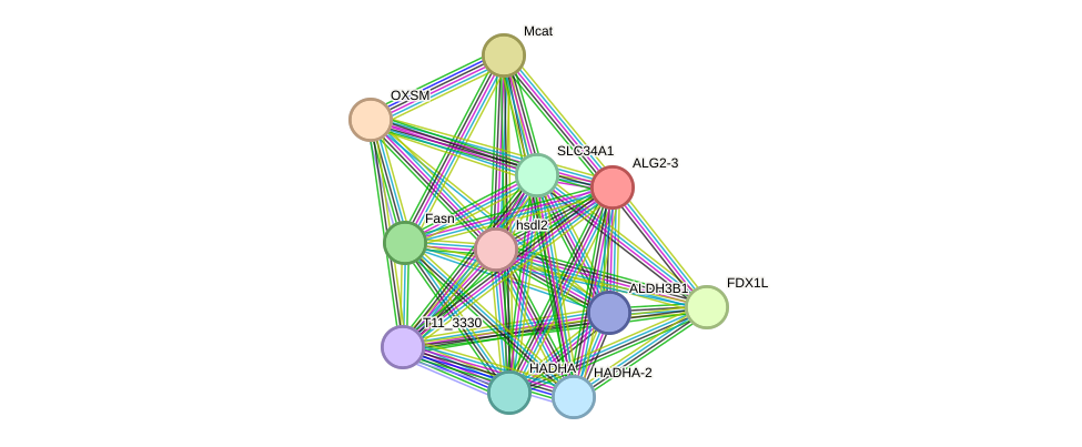 STRING protein interaction network