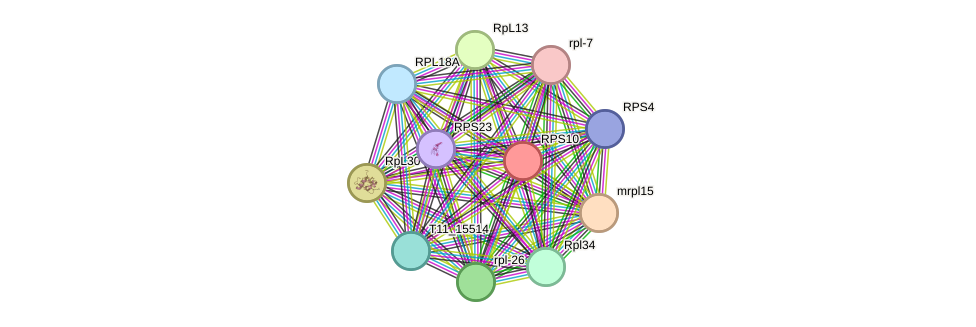 STRING protein interaction network