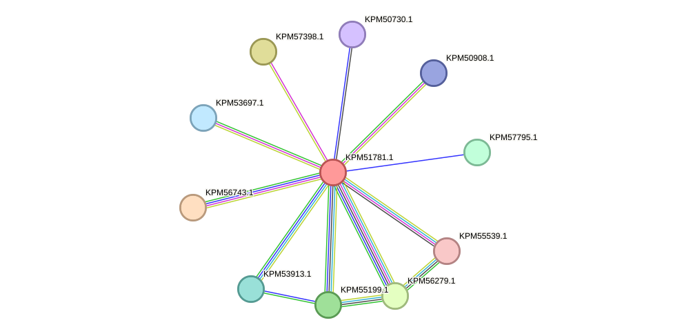 STRING protein interaction network