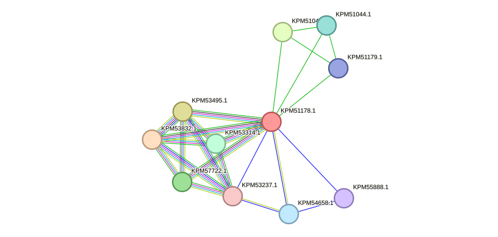 STRING protein interaction network