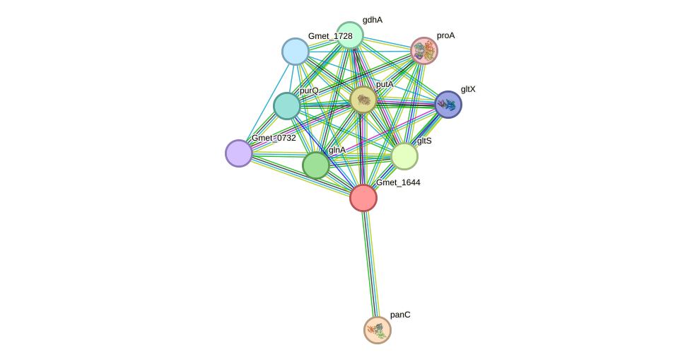 STRING protein interaction network