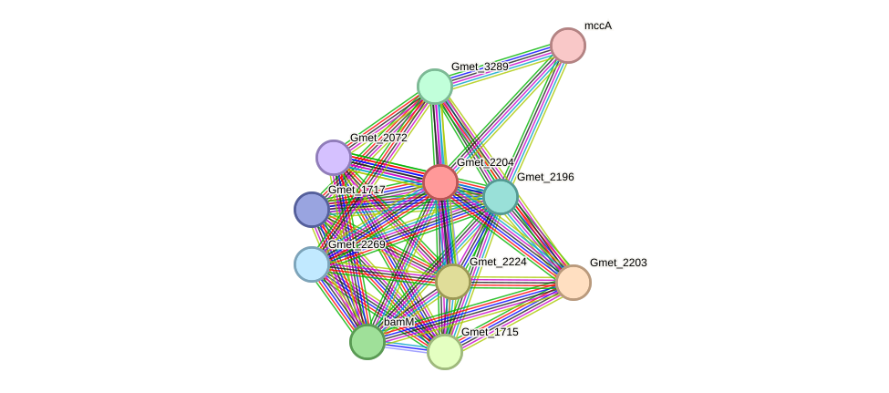 STRING protein interaction network