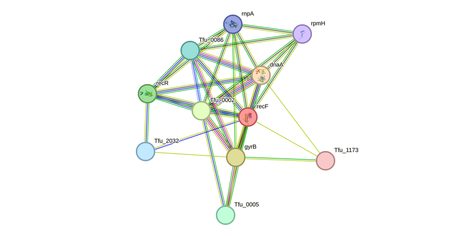 STRING protein interaction network