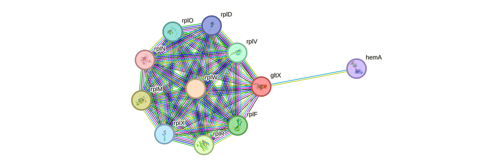 STRING protein interaction network