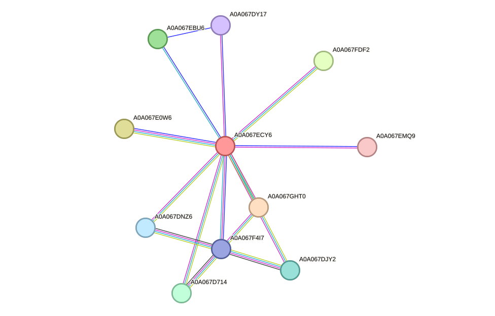 STRING protein interaction network