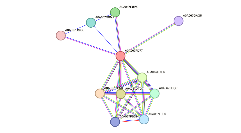 STRING protein interaction network