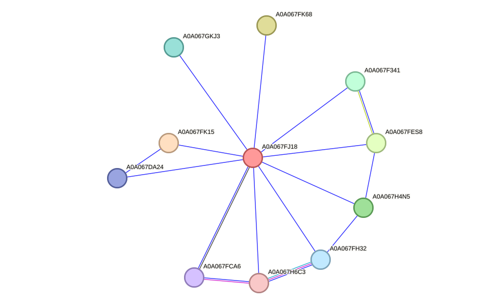 STRING protein interaction network