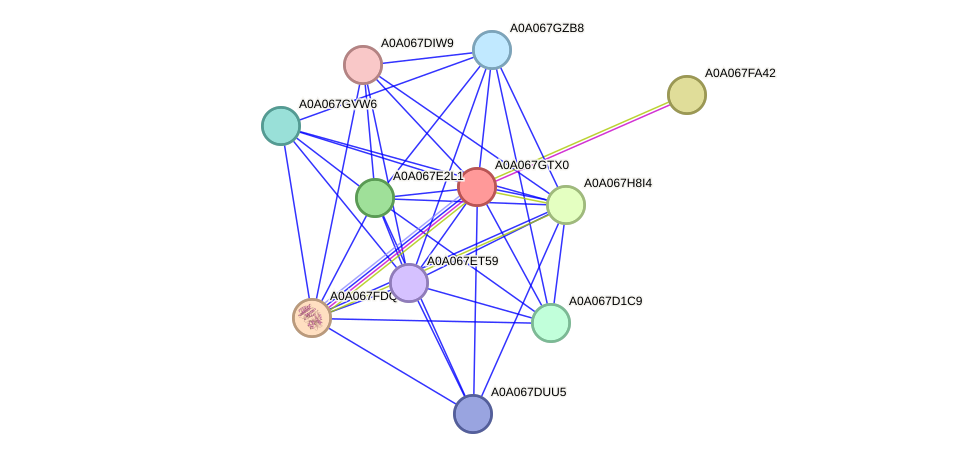 STRING protein interaction network