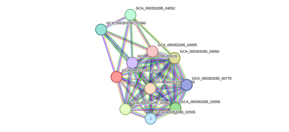 STRING protein interaction network