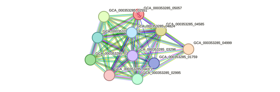 STRING protein interaction network