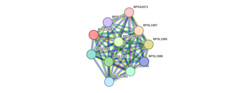 STRING protein interaction network