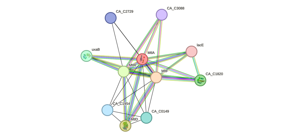 STRING protein interaction network