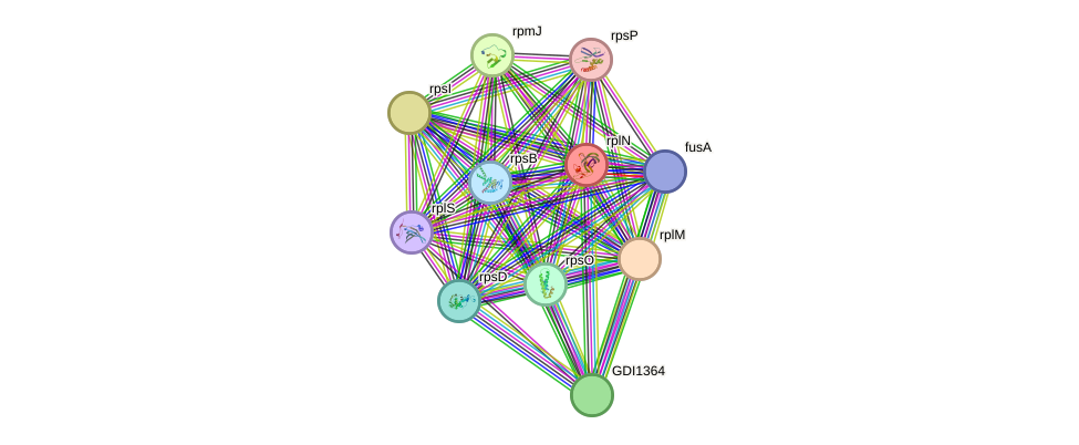 STRING protein interaction network