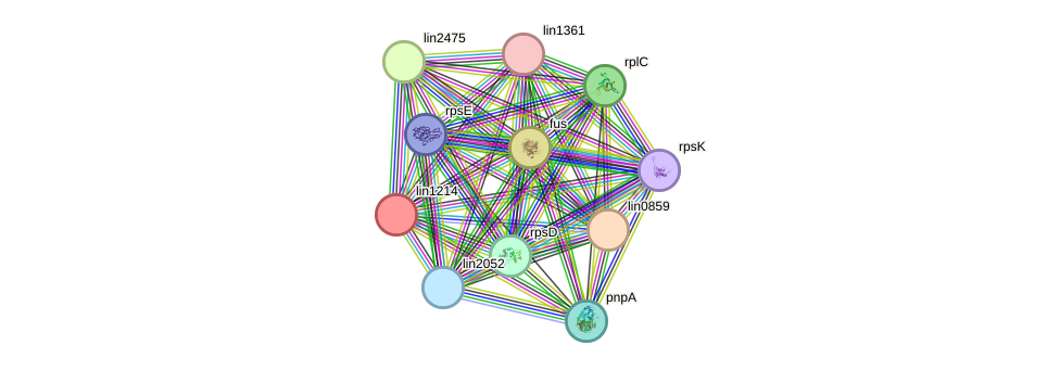 STRING protein interaction network