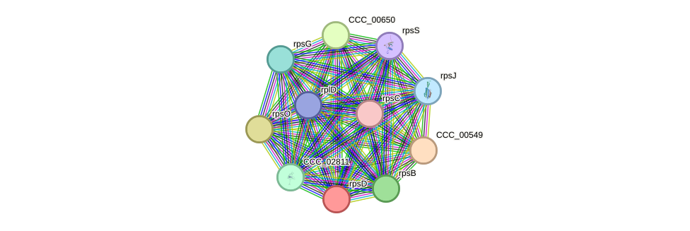 STRING protein interaction network