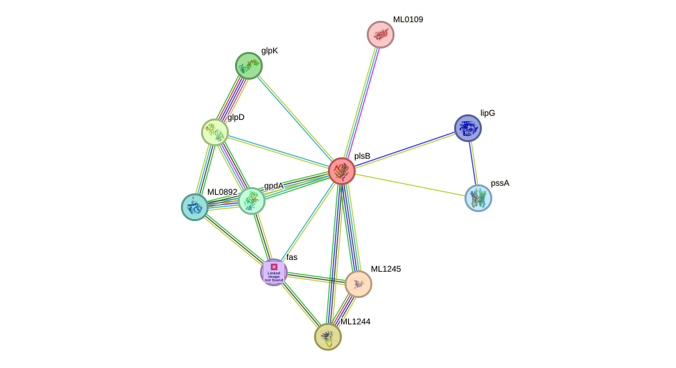 STRING protein interaction network