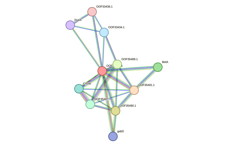 STRING protein interaction network