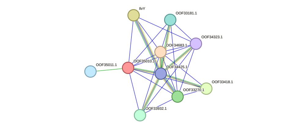 STRING protein interaction network