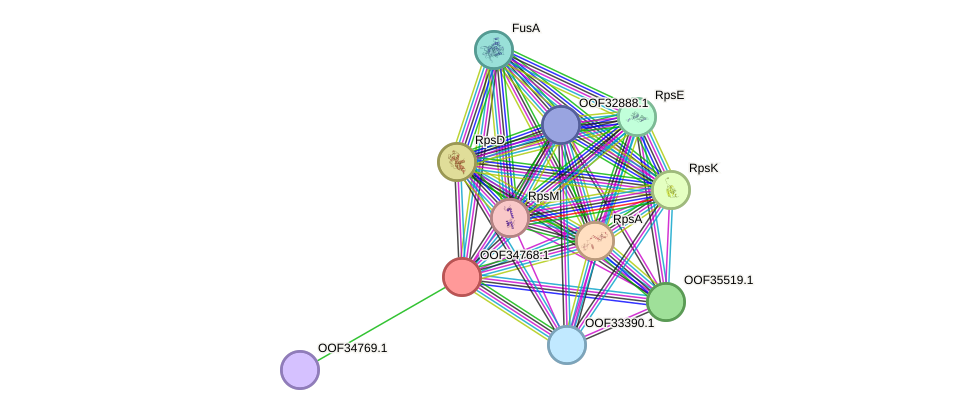 STRING protein interaction network