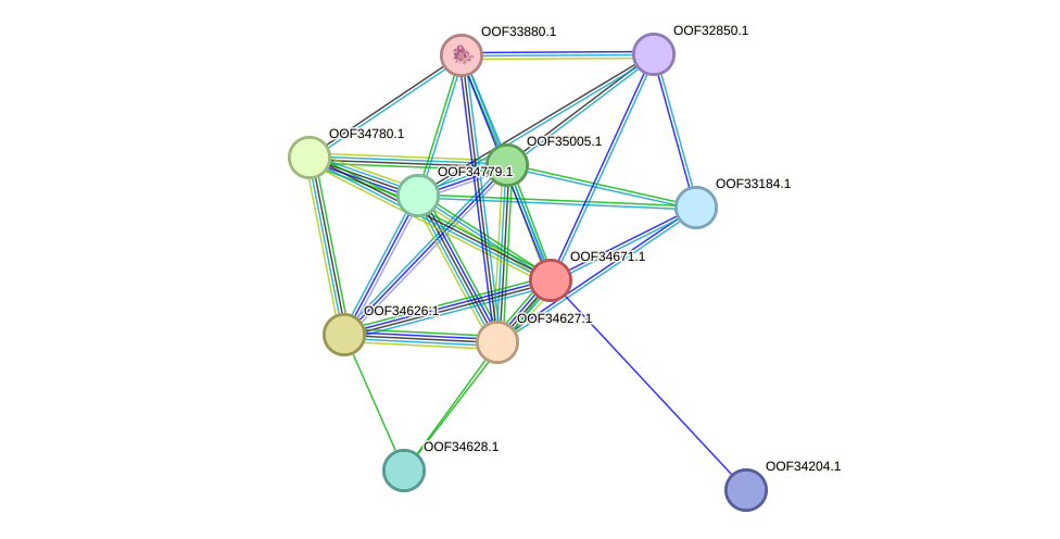 STRING protein interaction network