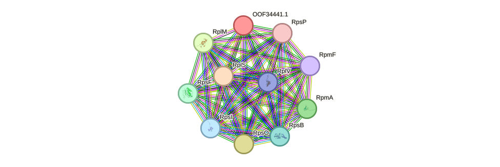 STRING protein interaction network