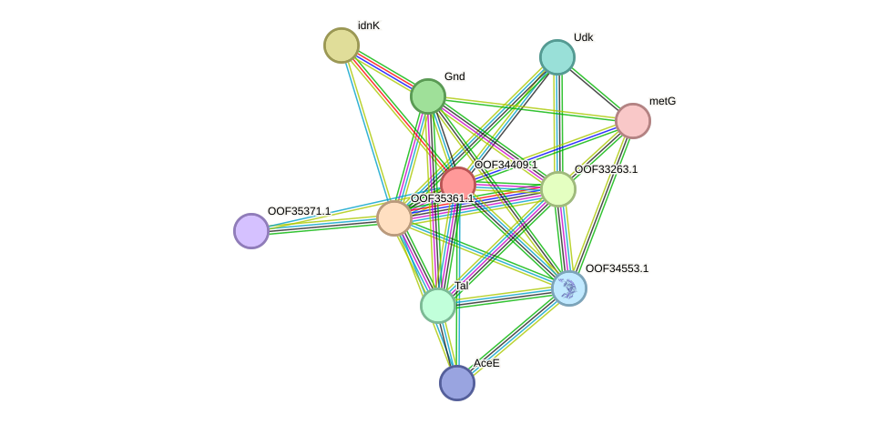 STRING protein interaction network