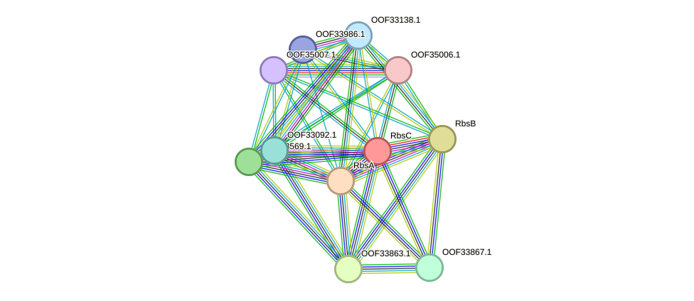 STRING protein interaction network