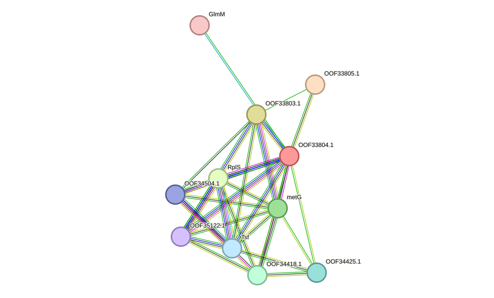 STRING protein interaction network