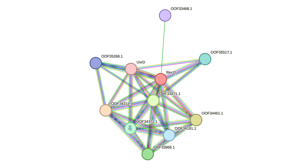 STRING protein interaction network