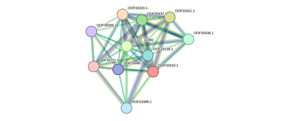 STRING protein interaction network